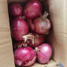 京鲜生 甘肃紫红皮洋葱净重5斤单果200g+ 现挖新鲜蔬菜 源头直发包邮 实拍图