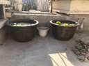 锦枫大号树脂花盆加厚仿陶瓷铁树花盆口径60厘米龙缸果树盆 口径80厘米高46厘米 实拍图