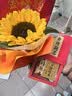 得力（deli）央视网联名0金属手提袋中考文具考试套装14件套 中高考专用中性笔2B涂卡笔圆规 SG121 实拍图