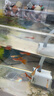 汉洋（HANYANG）鱼缸过滤材料火山石陶瓷环细菌屋球水族器材用品15合一滤材1kg 实拍图