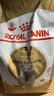皇家猫粮 英短成猫粮 BS34 通用粮 12月以上 2KG 实拍图
