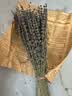 爱满（AIMAN）薰衣草干花束客厅家居装饰 天然风干花束真花香薰网红插花ins礼物 100克英国蓝【长款】 夏季新花【全都是英文报纸包装】 实拍图
