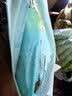 啦哄百花香氛抽绳垃圾袋蓝色45*45cm50只双面2丝加厚家用手提穿绳免撕 实拍图