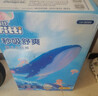 菲比Fitti秒吸舒爽乐玩裤拉拉裤XL114片(12-17kg)加大码裤型瞬吸干爽 实拍图