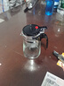 飘逸壶泡茶壶耐热高温玻璃沏茶过滤内胆冲茶器家用茶具套装 飘逸杯500mL1个 实拍图