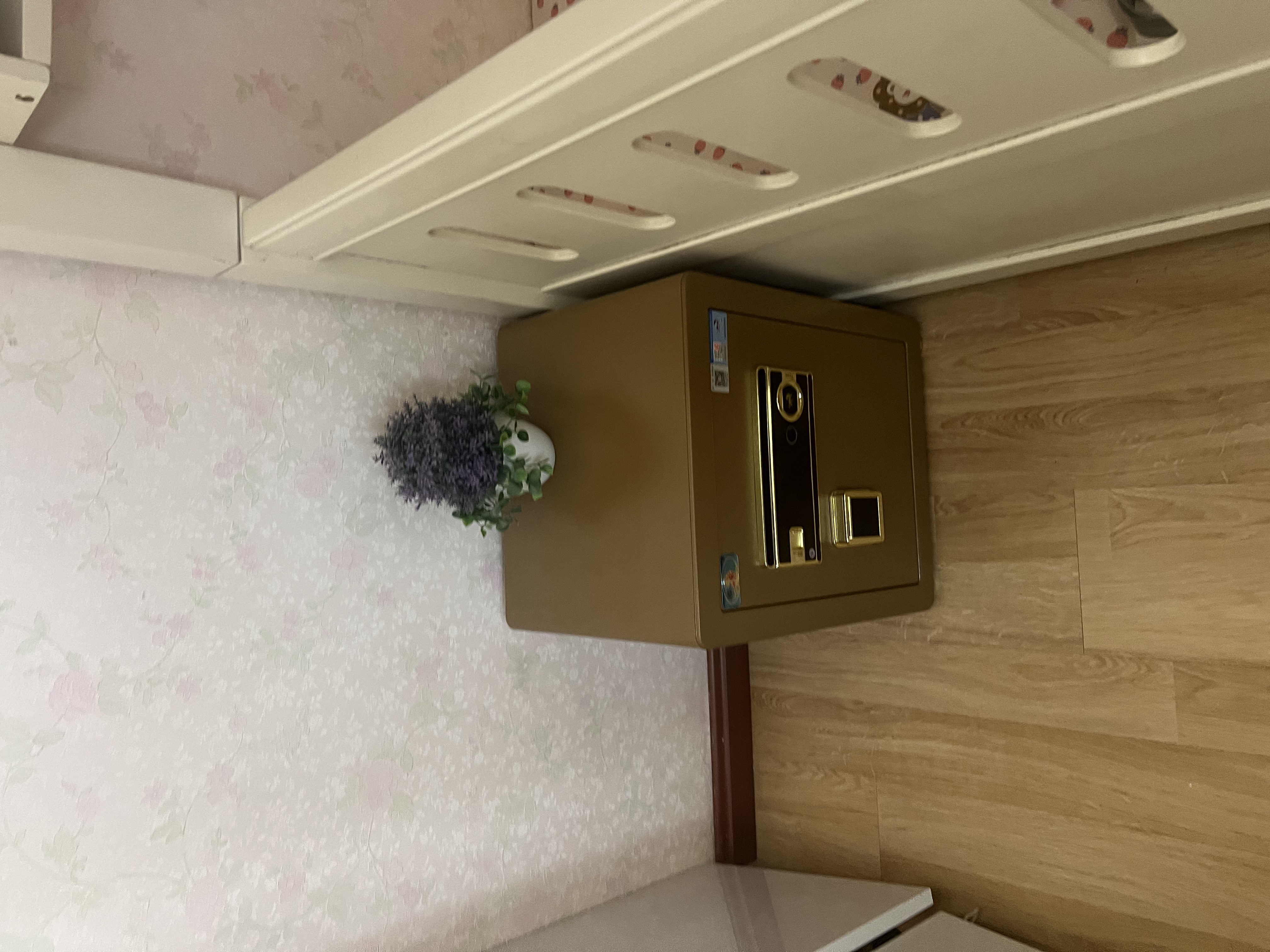 虎牌保险柜家用办公小型指纹密码保险箱全钢防盗可入墙保密保管柜 博瑞系列 45cm 咖啡金 实拍图