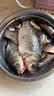 钩尖江湖艰苦奋斗也要钓鱼干鲜水解蚯蚓腥香饵料野钓鲫鱼鲤鱼草鱼钓鱼饵料 【蚯蚓腥香】艰苦奋斗300g*1袋 实拍图