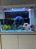 森森（SUNSUN）大型鱼缸底过滤水族箱客厅家用落地玻璃生态金鱼缸 【实时温显+灯控】珍珠白 1米长35cm宽 实拍图