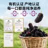 福东海 有机桑葚干510克 （特级）真无沙即食免洗黑桑椹果泡水酒养生茶 实拍图