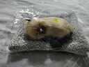 毛绒仿真猫会叫睡猫汽车摆件竹炭垫子猫净化空气家居装饰礼品玩偶 款式18 晒单实拍图