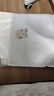 六品堂国画套装初学者12色中国画用品工具全套水墨画入门高级工笔画小学生儿童毛笔国画颜料19件套 实拍图