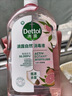 滴露（Dettol）香氛自然衣物消毒液48H留香洗衣除臭儿童可用消毒水杀菌除螨1L*2 实拍图