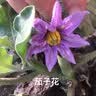 绿联【磁控溅射AR增透膜Pro】适用苹果17/16Pro钢化膜iPhone17/16Pro手机膜抗反光防指纹防摔无尘仓 实拍图