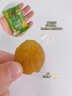 溜溜梅青梅分享桶460g西梅雪梅脆青梅果冻健康休闲零食团购礼包 实拍图