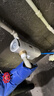 霍尼韦尔（Honeywell）全自动定时反冲洗 防爆前置过滤器 15T大通量 厨下净水机器厨房专用台下用自来水家用 万向安装D40 实拍图