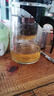 飘逸壶泡茶壶耐热高温玻璃沏茶过滤内胆冲茶器家用茶具套装 飘逸杯500mL1个 实拍图