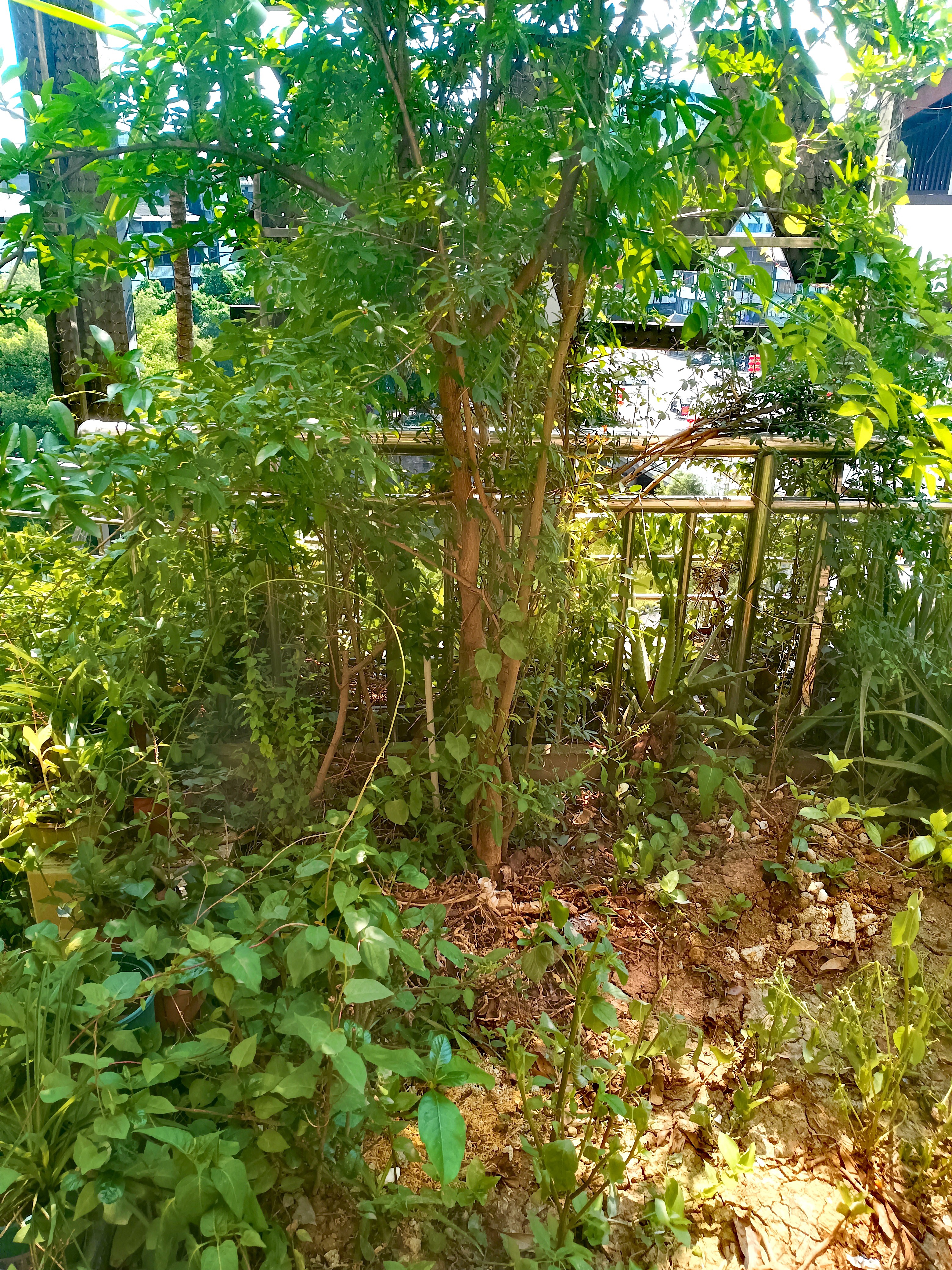 【京东物流】温湿度计京东物流家用数显高精度迷你简约版 智能电子温湿度计 实拍图