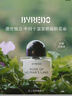 BYREDO柏芮朵百瑞德【官方】无人区玫瑰超级雪松香水生日礼物节日礼物送女友 无人区玫瑰香水【无人之境】 50mL 实拍图