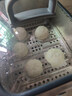 广州酒家奶黄包750g 20个 早餐半成品早茶点心包子速食面点生鲜面点小笼包 实拍图