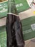 青岛啤酒（TsingTao）奥古特原麦汁浓度12°P 500ml*12罐箱装新老版随机 实拍图