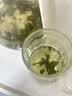 南京同仁堂绞股蓝正宗七叶绞股蓝茶叶嫩叶芽降中药材平利血压血脂养生茶55g 实拍图