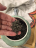 京东京造2026新茶明前特级信阳毛尖100g地标非遗栗香嫩芽绿茶高端茶叶送礼 实拍图