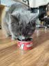 亿迪猫罐头6罐零食幼猫成猫羊奶鸡丝浓汤罐营养主食小罐流浪猫适用 实拍图