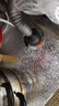 潜水艇（Submarine）45度墙排下水三通阳台洗衣机烘干机扫地机排水管下水管防臭密封塞 【7】接洗衣机+烘干机 实拍图
