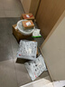 苏泊尔（SUPOR）电饭煲多功能蓝钻厚釜内胆电饭锅3升大容量煮饭煮粥饭煲2-3人使用家用微压煮饭锅 家用不粘系列 3L 蓝钻不粘内胆 实拍图