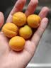 京鲜生 新疆吊干杏 3斤 单果9-12g+ 新鲜应季水果 8分甜2分酸 实拍图