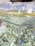 AIPUZZLE原野 1000片成人世界名画拼图 高难度拼装挂画 中秋节礼物 实拍图
