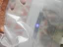 佳帮手真空封口机家用全自动食品打包塑封包装机腊肉腊肠真空压缩神器 实拍图