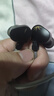 水月雨 竹II 入耳式动圈耳机可换线设计HIFI发烧高性能耳塞0.78双插针 竹2【DSP版】 实拍图