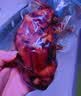 金锣酱卤猪蹄500g/袋 休闲零食即食猪手肘子熟食下酒菜卤味 实拍图