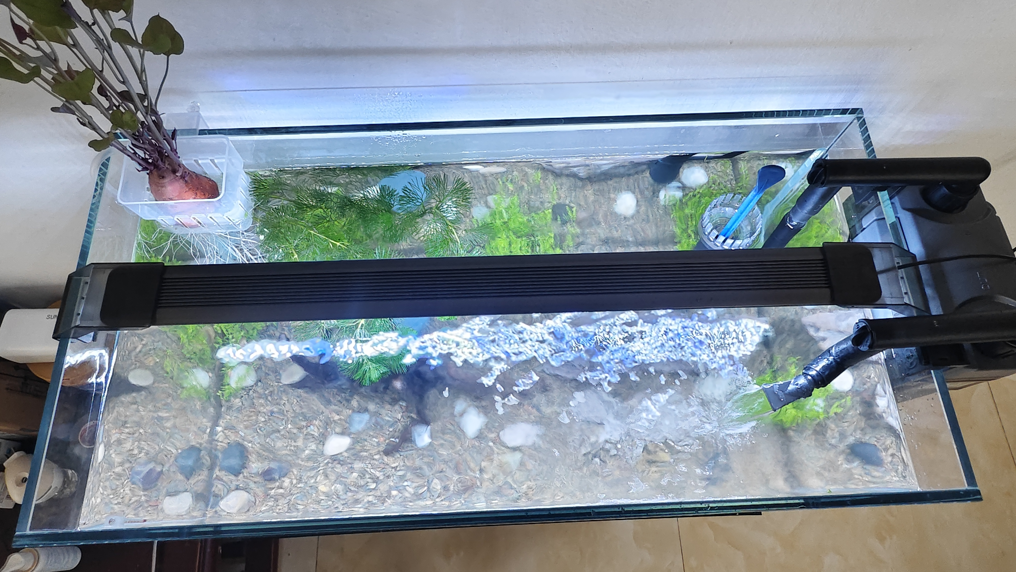 BESSN贝森金晶五线汽车级超白缸玻璃鱼缸客厅裸缸家用水草溪流缸 60*30*35cm8mm厚金晶五线超白送货上楼 实拍图