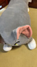猫和老鼠（Tom and Jerry）抱枕靠枕毛绒长条抱枕女生抱睡公仔靠枕枕头侧睡玩偶变形汤姆55cm 实拍图