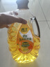 西王 食用油 玉米胚芽油鲜胚5L  非转基因物理压榨 实拍图