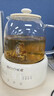 小质养生壶1.2L全玻璃花茶壶0胶水0金属恒温煮茶器办公室热牛奶神器保温壶家用烧水壶电热水壶 YSH13 实拍图