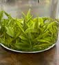 贡苑2026新茶 头采特级安吉白茶250g 正宗浙江明前春茶叶自己喝 实拍图
