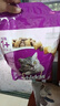 伟嘉猫粮成猫夹心粮 全价粮吞拿鱼1.3kg布偶蓝猫橘猫加菲英短猫咪 实拍图
