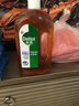 滴露（Dettol）消毒液洗衣衣物消毒水750mL 除螨杀菌混洗无忧 家居地板消毒 非84 实拍图