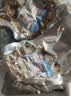 天海藏去壳扇贝肉无冰衣无沙净重150g*10袋 带黄大个 烧烤火锅 源头直发 实拍图