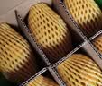 佳沛（zespri）新西兰  阳光金奇异果6粒装 单果约88-103g 猕猴桃水果 实拍图