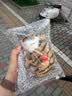 毛绒仿真猫会叫睡猫汽车摆件竹炭垫子猫净化空气家居装饰礼品玩偶 款式7 晒单实拍图