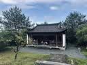 丙田 独头黑蒜600g 紫皮黑大蒜头 山东金乡120天新鲜发酵大果煲汤即食 实拍图