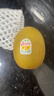 佳沛（zespri）新西兰 阳光金奇异果12粒特大果单果124-146g 猕猴桃水果礼盒 实拍图
