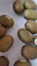 佳沛（zespri）新西兰 阳光金果25-27粒原箱特大果单果124-146g 猕猴桃水果礼盒 实拍图