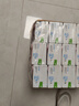 晨光牛奶酸味乳饮品250ml*24盒 常温早餐奶 家庭量版装 实拍图