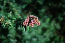 适马（SIGMA）Art 50mm F1.2 DG DN 全画幅微单 大光圈定焦镜头 人像肖像（索尼E卡口） 实拍图