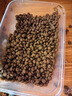 麦富迪狗粮 藻趣儿狗粮成犬粮牛肉螺旋藻 均衡营养15kg/30斤 实拍图